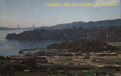 Tiburon and Belvedere California Aerial View with Golden Gate Bridge Postcard