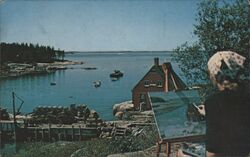 Allen Cove Stonington, ME A.D. Phillips Postcard Postcard Postcard