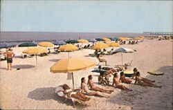 Virginia Beach Sun-bathers Postcard