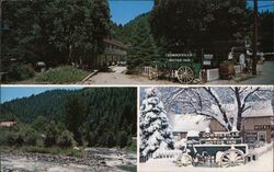 Downieville Motor Inn Hwy 49 in the Sierras Postcard