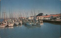 Fishing Boats Postcard