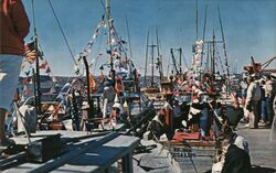 Boats Decorated for Discovery Day, The Tides Wharf Bodega Bay, CA Postcard Postcard Postcard