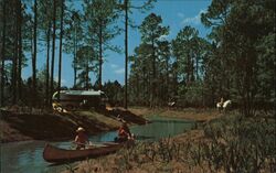 Fort Wilderness Orlando, FL Disney Postcard Postcard Postcard