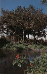 Swiss Family Island Treehouse, Walt Disney World Orlando, FL Postcard Postcard Postcard