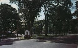 The Village Green Postcard