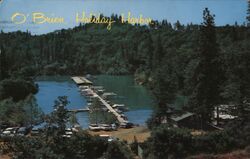 O'Brien Holiday Harbor Shasta Lake, CA Peter A. Baccilieri Postcard Postcard Postcard