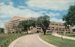 Allen Field House, Kansas University Postcard