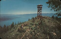 Trail Rides in North Idaho - Kaniksu National Forest Clark Fork, ID Postcard Postcard Postcard