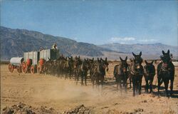 Twenty Mule Team Cowboy Western Merle Porter Postcard Postcard Postcard