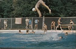 Camp Mowana Swimming Pool Postcard