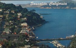 View of Sausalito from the summit of the hills Postcard