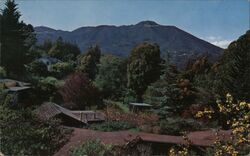 Mt. Tamalpais, Marin County, CA Mill Valley, CA Hilt Hansen Postcard Postcard Postcard