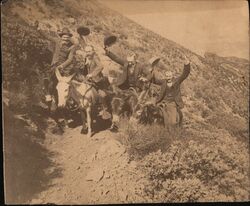 Men Riding Donkies Postcard