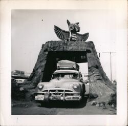 1955 Car Drying through Giant Stump Original Photograph