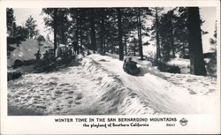 Winter Time in the San Bernardino Mountains California Postcard Postcard Postcard