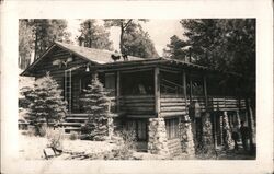 Vintage Black and White Photograph of Log Cabin Postcard