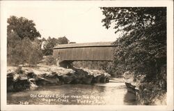 Narrows Covered Bridge -Turkey Run State Park Postcard