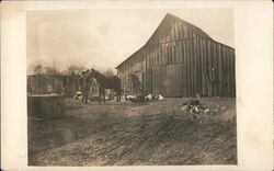 Man with Horse, Chickens, Barn Postcard