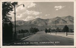 Highway US 95 Bridge Postcard