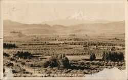 Mount Hood and orchards of Hood River Valley Postcard