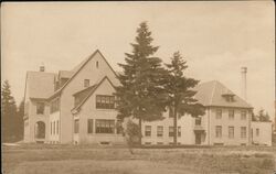 Industrial Building behind Two Pine Trees Postcard