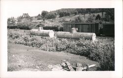 Oil railcars Millinocket, ME Ray F. Higgins Postcard Postcard Postcard