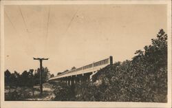 Bridge Postcard