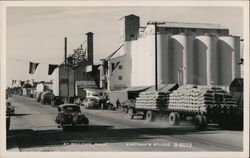 Grain Silos and Business District Willows, CA Postcard Postcard Postcard