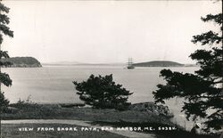 View From Shore Path Postcard