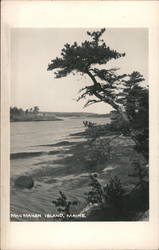 MacMahan Island Georgetown, ME Postcard Postcard Postcard