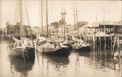 Harbor Scene Postcard