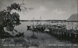 East Shore Scene Boothbay Harbor, ME Postcard Postcard Postcard