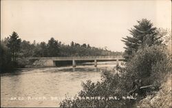 Saco River Cornish, ME Postcard Postcard Postcard