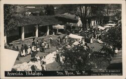 Avenida Hidalgo Santa Rosa, Mexico Juan D. Vasallo Postcard Postcard Postcard