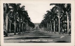 The Prado - Canal Zone Balboa, CZ Panama Postcard Postcard Postcard