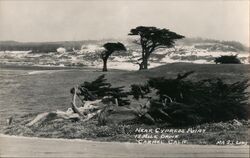 Near Cypress Point Carmel, CA Postcard Postcard Postcard