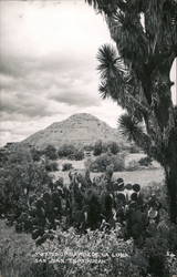 Mexico Piramide De La Luna San Juan Teotihucan Postcard Postcard Postcard