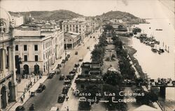 Paseo de Las Colonias Postcard