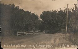 A Turn in the Road Halstead, KS Ruth Photo Postcard Postcard Postcard