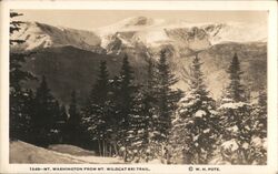 Mt. Washington from the Mt. Wildcat Ski Trail Postcard