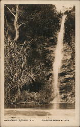 Waterfalls Burnside, Australia Postcard Postcard Postcard