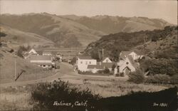 Aerial View of Bolinas, CA California Postcard Postcard Postcard