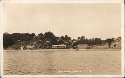 Shoreline Postcard