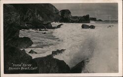 Ocean Spray on the Rocks Postcard