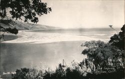 The Lagoon Bolinas, CA Postcard Postcard Postcard