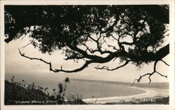 Stinson Beach Postcard