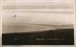 Moonlight Over the Beach Postcard