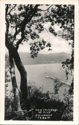 View from Edge of Cliff Postcard