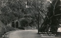 One of the many beautiful drives in Sausalito Postcard