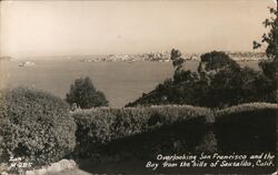 Overlooking San Francisco and the Bay Sausalito, CA Postcard Postcard Postcard